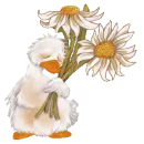 duck and flower