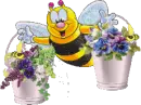 bees