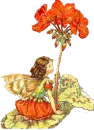 fairy