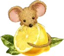 mouse and lemon