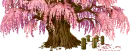 flowering tree