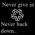 Never give in-Black veil brides