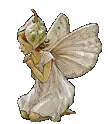 Rainbow Fairy