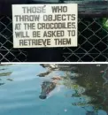 Crocodiles