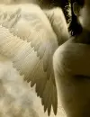 angel wings