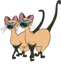 cats disney