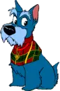 scotish terrier