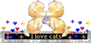 i love cats