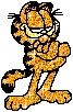 garfield
