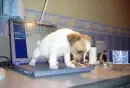 try to type...here:P