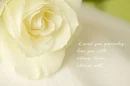 love you