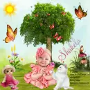 Shakela