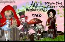 Deb -Down the rabbit hole