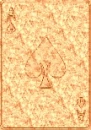 Bronze Ace Card