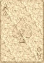 Platinum Ace Card
