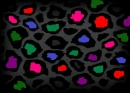 Colorful Leopard Print