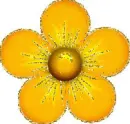 yellow flower