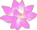 purple flower