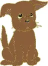 brown dog