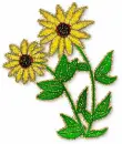 yellow flowers