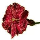 red mallow