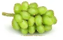 bunch of grapes