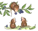 3 mouse