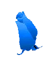 blue rosa