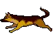 running german shepherd