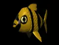 striped fish