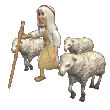 shepherd the flock