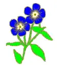 blue flowers