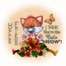 Cat's Meow