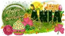 Ania-Bday Gift