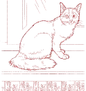 cat