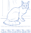 cat