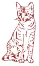 cat