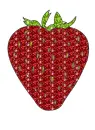 fruit
