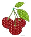 fruit