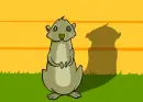 Groundhog
