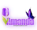 Purple Tulip and Butterfly: Amanda