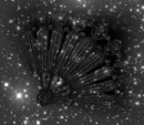 Sparkly Silver Fan