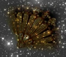 Sparkly Gold Fan