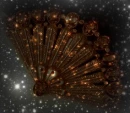 Sparkly Copper Fan