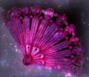 Sparkly Pink Fan