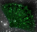Sparkly Green Fan