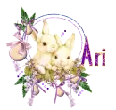 Ari
