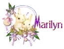 Marilyn