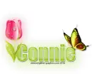 Pink Tulip: Connie
