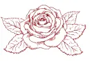 rose
